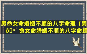 男命女命婚姻不顺的八字命理（男 🪴 命女命婚姻不顺的八字命理是什么）